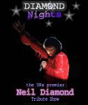 Neil Diamond Tribute Diamond Nights